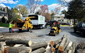 Best Grass Overseeding  in Boise City, OK